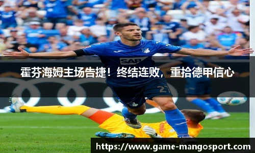 霍芬海姆主场告捷！终结连败，重拾德甲信心