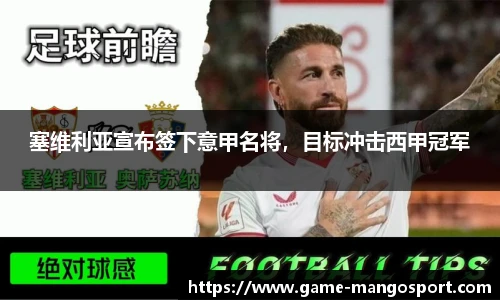 塞维利亚宣布签下意甲名将，目标冲击西甲冠军