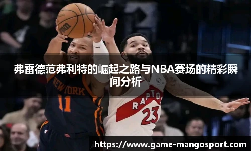 弗雷德范弗利特的崛起之路与NBA赛场的精彩瞬间分析